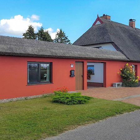 Ferienwohnung Im Roten Haus Stahlbrode Eksteriør bilde